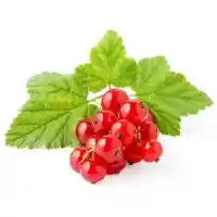 grosella3
